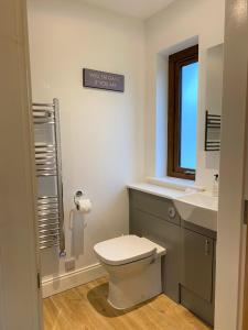 baño con aseo y lavabo y ventana en Osprey Lodge 8 with Hot Tub, en Newton Stewart