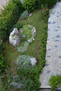 Ein Garten an der Unterkunft Apartments Knežević
