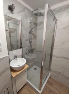 a bathroom with a shower with a sink and a shower at Krasickiego 12 Gdynia Centrum in Gdynia