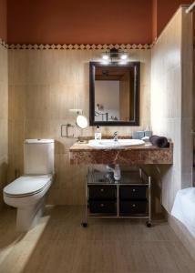 ein Badezimmer mit einem WC, einem Waschbecken und einem Spiegel in der Unterkunft Sol Badaguas Jaca in Jaca