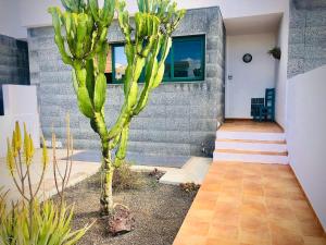 Ein Garten an der Unterkunft Alegranza, apartamento de 3 habitaciones en Lanzarote