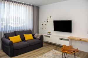 sala de estar con sofá y TV de pantalla plana en Casa das Falcoeiras - AL com vista Ria en Aveiro