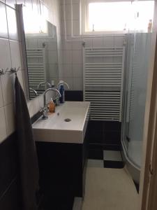 een badkamer met een wastafel en een douche bij Texelzon in Den Hoorn