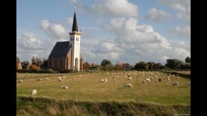 una manada de ovejas pastando en un campo frente a una iglesia en Texelzon, en Den Hoorn