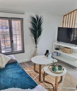 a living room with a tv and a table at La mansarde d'Olympe in Montauban