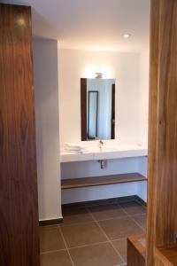 a bathroom with a sink and a mirror at Domaine de Frémigny in Bouray-sur-Juine
