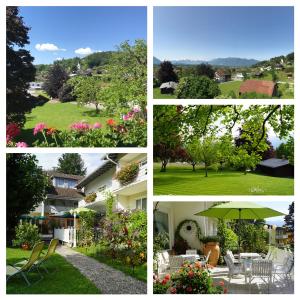 a collage of pictures of a yard with chairs and an umbrella at Hotel-Pension Sternen in Klaus