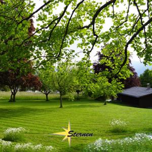 Zahrada ubytování Hotel-Pension Sternen