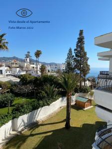 a palm tree in a yard next to a building at Acapulco playa Nerja 407 planta superior in Nerja