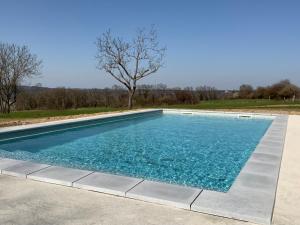 basen z niebieską wodą i drzewem w obiekcie CHEZ LE DAMIAN w mieście Neuville