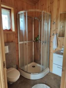 a shower stall in a bathroom with a toilet at Bright and Peaceful Cabin with Views & Hot Tub in Selfoss