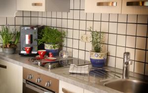 A kitchen or kitchenette at Berghotel Hois