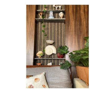 una habitación con un estante con plantas y un sofá en Villa Marina Ixtapa, en Ixtapa