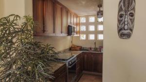 una cocina con armarios de madera y una planta en Villa Marina Ixtapa, en Ixtapa