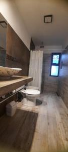 een badkamer met een toilet, een wastafel en een raam bij FLOR DE LAVANDA in Santa Rosa de Calamuchita