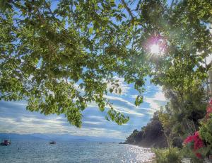 een uitzicht op een strand van onder een boom bij HORTO HOUSE in Chorto