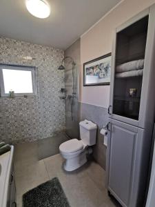 a bathroom with a white toilet and a shower at Milusi Domek in Łagów