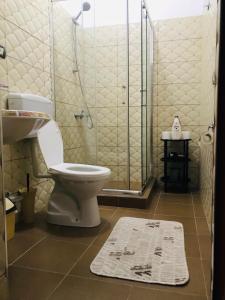 a bathroom with a shower and a toilet and a rug at Jemin Apartment in Berat