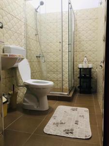 a bathroom with a shower and a toilet and a rug at Jemin Apartment in Berat +15 photos