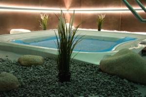 a jacuzzi tub with rocks and a plant at Penzion Anna in Nejdek
