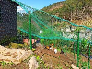 Fotografie z fotogalerie ubytování Casa Carmelo v destinaci Viveiro
