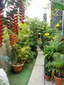 Jardín al aire libre en Cozy Sudio#1, 5min Beach & 1 hour Liberia Int ARPTO