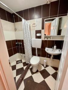 een badkamer met toilet en wastafel bij Apartman studio Lusi in Subotica +3 foto's