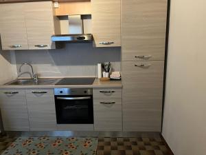 uma cozinha com um lavatório e um fogão em Casa Dora em Brusino Arsizio