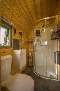 y baño con ducha, aseo y lavamanos. en Suilven view, en Lochinver