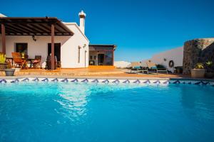 a group of birds sitting on top of a swimming pool at Eslanzarote Acoruma House, Super Wifi, Heated Pool in Güime