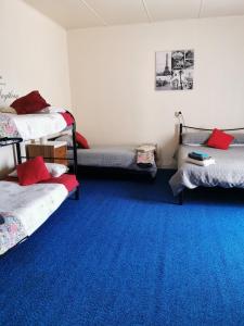 a room with four beds and a blue carpet at Railton Hotel in Railton