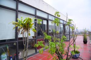 ein Gebäude mit vielen Pflanzen davor in der Unterkunft TQT Hotel in Hanoi