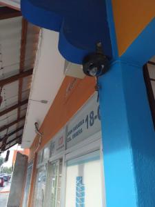 シウダー・バージェスにあるKali Huasteca Posadaのギャラリーの写真