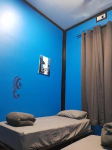 a bedroom with two beds and a blue wall at Ozi Inn Backpackers - Perth - in Perth