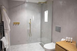 uma casa de banho com um chuveiro e um WC. em The Nog Inn em Wincanton