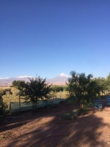 a dirt road with trees and a mountain in the background at Cabañas rústico in San Pedro de Atacama