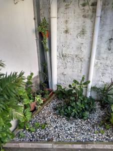 a garden with plants and rocks next to a wall at Portal del sur in San Nicolás de los Arroyos