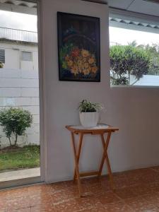 stół z rośliną obok ściany w obiekcie Apartamento Hogareño w mieście Jarabacoa