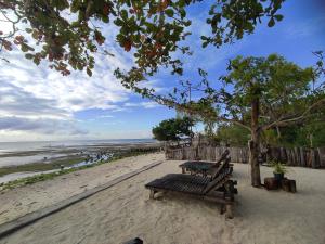 a bench sitting on a beach with a tree at Sabas Beach and Campsite in Siquijor
