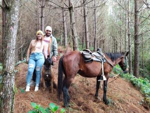 Loomad hosteli aladel või selle läheduses +37 fotot