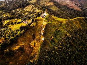 Príroda v okolí hostela