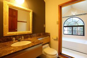 a bathroom with a sink and a toilet and a mirror at Hakuba Royal Suites in Hakuba +16 photos