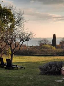 due sedie in un campo con un albero di Casa Bella Vista Trevignano Romano a Trevignano Romano