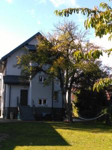 een wit huis met een boom in de tuin bij Villa Marina in Augustów