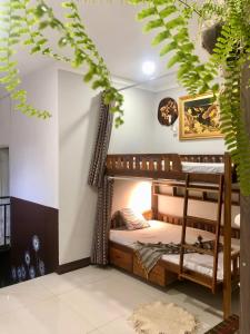 a room with two bunk beds and a plant at Amazing House in Buôn Ðũng