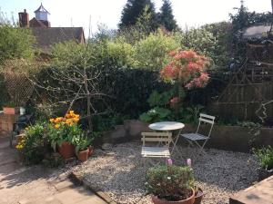 Garden Studio في كرانبروك: حديقة بها طاولة وكراسي وزهور