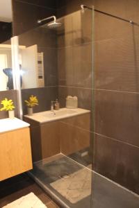 a bathroom with a shower and a sink at Al GrattacieloTrenta in Verona