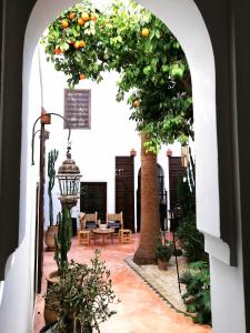 een boog met een sinaasappelboom op een binnenplaats bij Riad Dar Nouba in Marrakesh