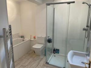 a bathroom with a shower and a toilet and a sink at Pass the Keys Charming 3br Listed Cottage in Historic Wigtown in Newton Stewart