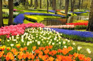 a garden filled with lots of different colored flowers at Crown Hotel in Amsterdam